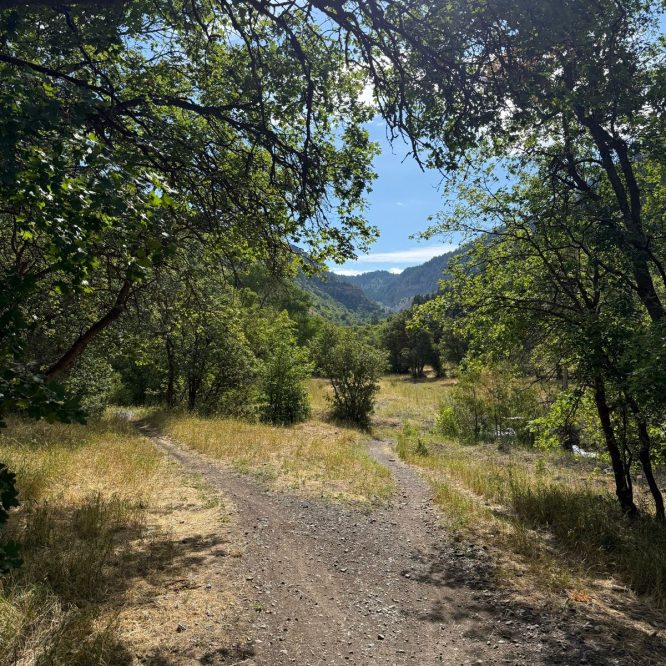 A dirt path forks through a sunlit meadow surrounded by greenery, leading to a mountainous area in Providence Canyon, Utah. Trees frame the scene with bright blue skies and distant hills visible in the background.