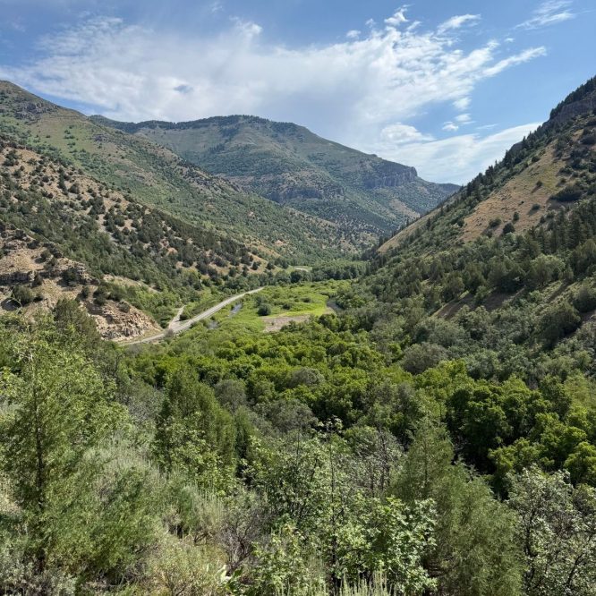 A scenic view of rolling hills and mountains in Paradise, Utah, featuring lush green vegetation and a winding road in the valley below under a partly cloudy sky.