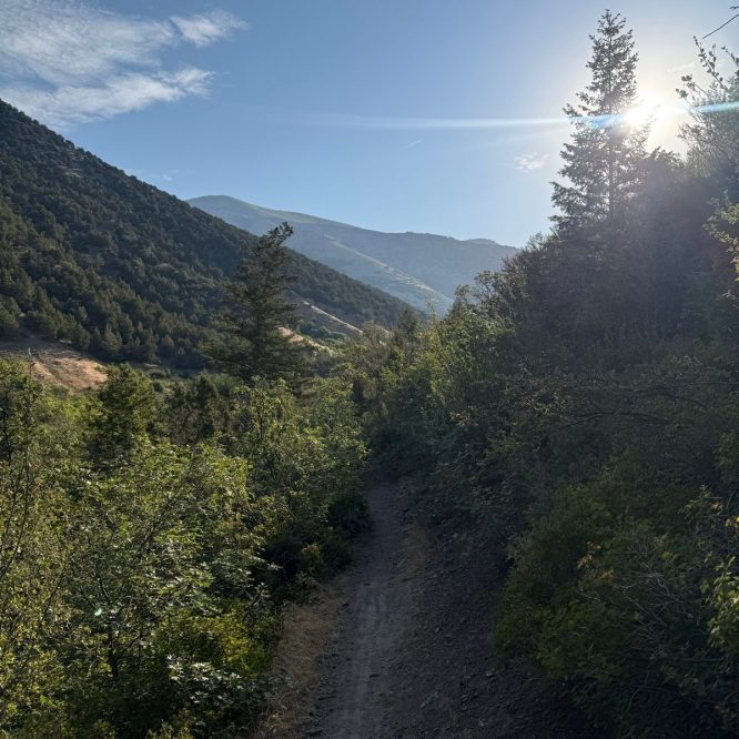 A sunlit dirt trail winding through green vegetation, surrounded by mountains under a clear blue sky in Providence Canyon, Utah.