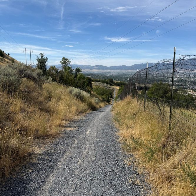 A gravel path winds through tall grass and shrubs, leading downhill toward a valley. In the background, power lines run along the side, with mountains visible in the distance under a clear blue sky.