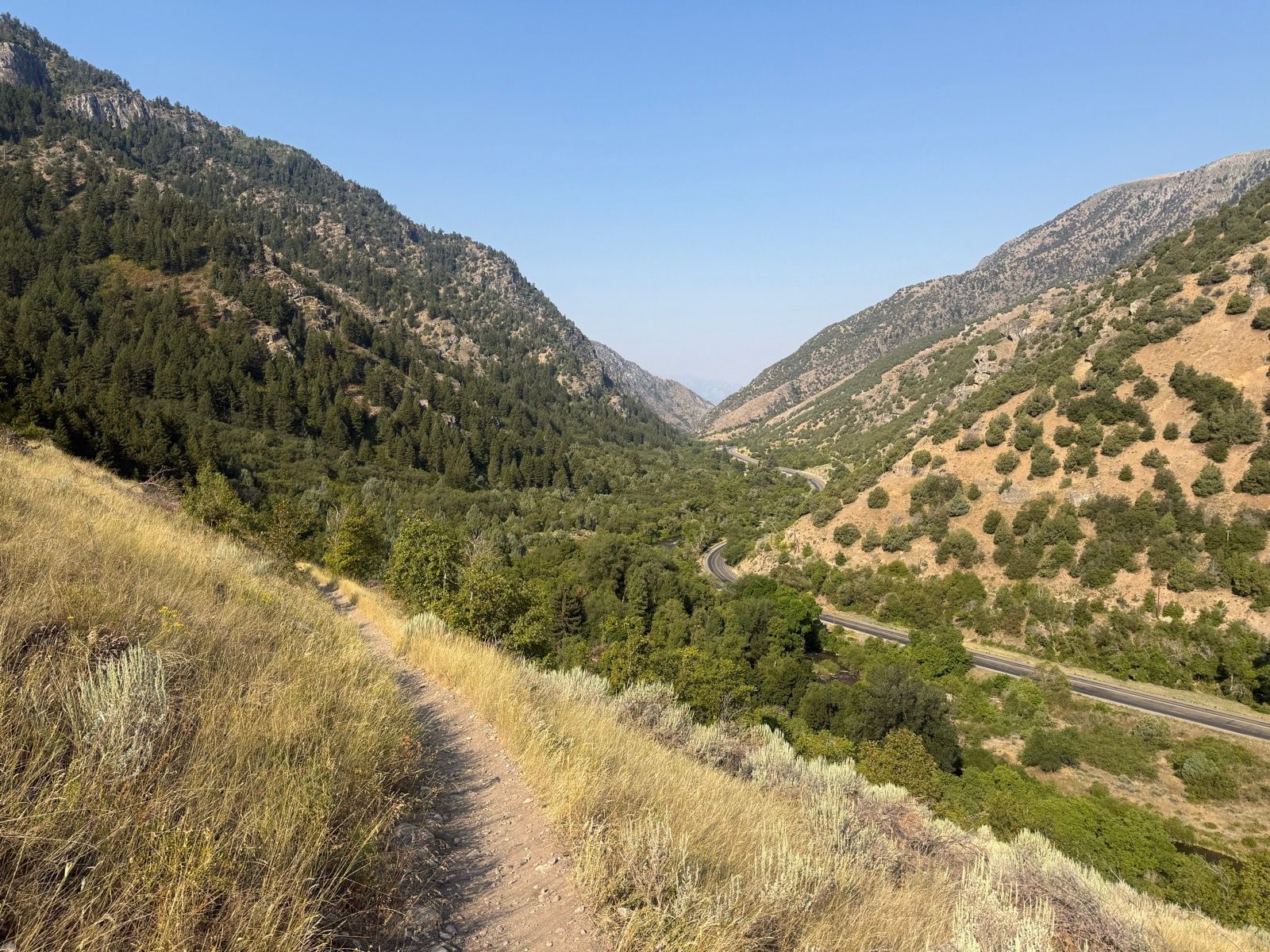 A winding trail leads through tall grass and shrubs, surrounded by lush green trees and rugged mountains in the distance. A road curves through the valley below, under a clear blue sky. This scene captures the natural beauty of Paradise, Utah.