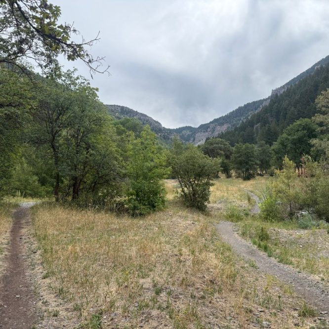 A view of a fork in a dirt trail surrounded by greenery and mountains in Providence Canyon, Utah, under a cloudy sky.
