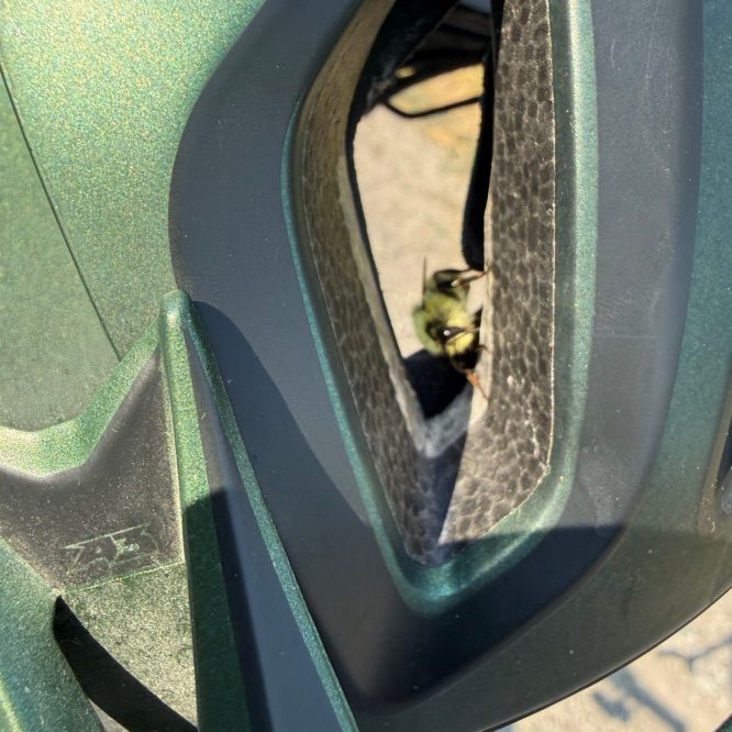 A close-up photo showing a bee inside the vent of a green-colored object, likely a vehicle or equipment, taken at Providence Canyon, Utah.